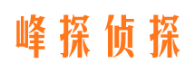 贡觉市场调查